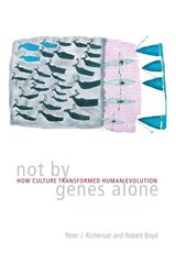 Not by Genes Alone: How Culture Transformed Human Evolution цена и информация | Книги по экономике | 220.lv