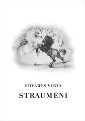 Straumēni цена и информация | Рассказы, новеллы | 220.lv