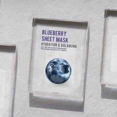 Mitrinoša sloksnes tipa sejas maska ogām Eunyul Blueberry, 22ml cena un informācija | Sejas maskas, acu maskas | 220.lv