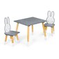 Bērnu galds ar diviem krēsliņiem, Ecotoys, pelēks cena un informācija | Bērnu krēsliņi un bērnu galdiņi | 220.lv