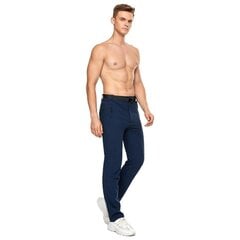 Vīriešu pārgājienu bikses YuKaiChen, zilas цена и информация | Мужские брюки | 220.lv