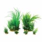 Dekoratīvais augs Zolux 6 d. цена и информация | Akvārija augi, dekori | 220.lv