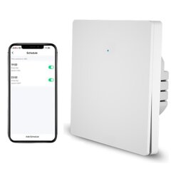 Viedais wifi elektrības slēdzis ar tālvadības lietotni 600W LIVMAN DS-1081WL цена и информация | Электрические выключатели, розетки | 220.lv