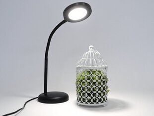 Светодиодная настольная лампа, 6 Вт, 4000 К, 500 Лм, черная цена и информация | Детские светильники | 220.lv