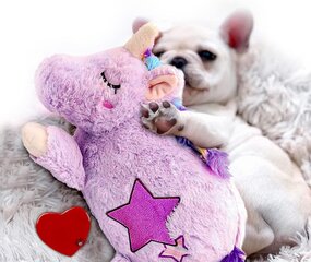 Plīša sirdsdarbības rotaļlieta suņiem Unicorn cena un informācija | Suņu rotaļlietas | 220.lv