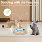 Elektroniskā interaktīvā kaķu rotaļlieta cena un informācija | Rotaļlietas kaķiem | 220.lv