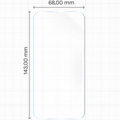 Bizon iPhone 13 / 13 Pro цена и информация | Защитные пленки для телефонов | 220.lv