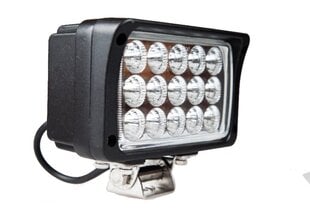 LED рабочий фонарь Visional, 9-32В,  45Вт цена и информация | Авто принадлежности | 220.lv