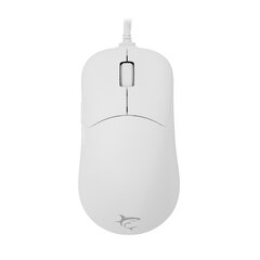 White Shark GM-5014 Graphene White цена и информация | Мыши | 220.lv