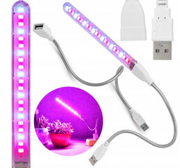 LED USB gaismeklis priekš augiem MINI, Heckermann, 17277795 cena un informācija | Diedzēšanas trauki, augu lampas | 220.lv