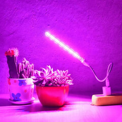 LED USB gaismeklis priekš augiem MINI, Heckermann, 17277795 цена и информация | Проращиватели, лампы для растений | 220.lv