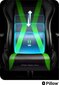 Spēļu krēsls Diablo X-Horn L Size, melns/zaļš cena un informācija | Biroja krēsli | 220.lv