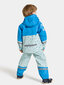 Didriksons bērnu gumijas komplekts WATERMAN DOODLE 8, piparmētru zaļš-zils cena un informācija | Lietus apģērbs bērniem | 220.lv