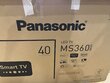 Prece ar bojājumu. Panasonic TX-40MS360E цена и информация | Preces ar bojājumiem | 220.lv