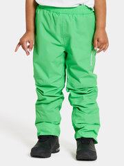 Детские штаны Didriksons весна-осень IDUR, зеленый цвет цена и информация | Штаны для мальчиков | 220.lv