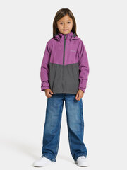 Didriksons детская весенне-осенняя куртка TERA, фиолетово-серый цвет цена и информация | Куртки, пальто для девочек | 220.lv