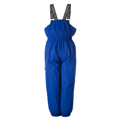 Детские утепленные штаны Huppa весна-осень FUNNY 40g, синего цвета цена и информация | Штаны для мальчиков | 220.lv