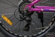 Pusadžu velosipēds Gust Wave, 24’’, rozā cena un informācija | Velosipēdi | 220.lv