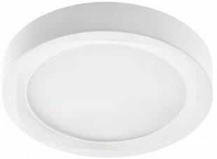 Gaismeklis, LED, 24W, 1920Lm, 4000K, v/a, IP54, apaļš, balts цена и информация | Монтируемые светильники, светодиодные панели | 220.lv