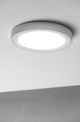 Gaismeklis, LED, 24W, 1920Lm, 4000K, v/a, IP54, apaļš, balts cena un informācija | Iebūvējamās lampas, LED paneļi | 220.lv