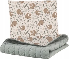 Babymam детское одеяло и подушка, 100х75 см/35х30 см цена и информация | Детское постельное бельё | 220.lv