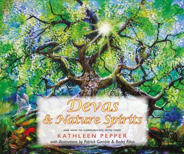 Devas and Nature Spirits: and how to communicate with them цена и информация | Pašpalīdzības grāmatas | 220.lv