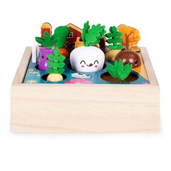Деревянный ящик с овощами, сад цена и информация | Игрушки для девочек | 220.lv