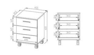 Шкафчик с выдвижными ящиками на колесиках Optimal 24, цвет дуба цена и информация | Шкафчики в гостиную | 220.lv