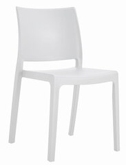Divu krēslu komplekts, balts. цена и информация | Стулья для кухни и столовой | 220.lv