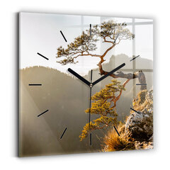 Sienas pulkstenis Koks Kalnos, 30x30 cm цена и информация | Часы | 220.lv