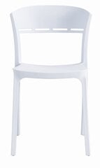 Комплект из двух стульев цена и информация | Стулья для кухни и столовой | 220.lv