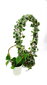 Izliekts augu balsts, 105 cm x 10/12 mm, 25 gab. cena un informācija | Ziedu statīvi, puķu podu turētāji | 220.lv