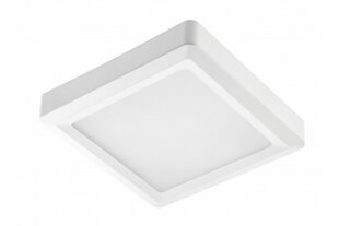 Gaismeklis, LED, 24W, 1920Lm, 4000K, v/a, IP54, kvadrāts, balts cena un informācija | Iebūvējamās lampas, LED paneļi | 220.lv