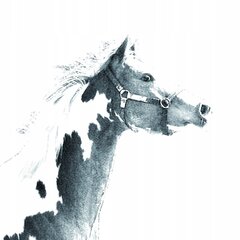 Подставка для ручек American Paint Horse с иллюстрациями цена и информация | Канцелярия | 220.lv