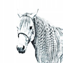 Ацтекская лошадь Подставка для ручек, подсвечник цена и информация | Канцелярия | 220.lv