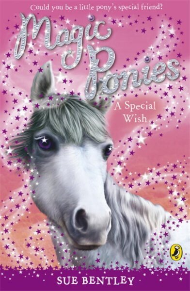Magic Ponies: A Special Wish cena un informācija | Grāmatas pusaudžiem un jauniešiem | 220.lv