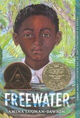 Freewater (Newbery & Coretta Scott King Award Winner) цена и информация | Книги для подростков  | 220.lv