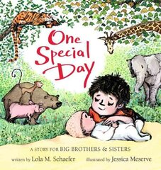 One Special Day: A Story for Big Brothers and Sisters cena un informācija | Grāmatas pusaudžiem un jauniešiem | 220.lv