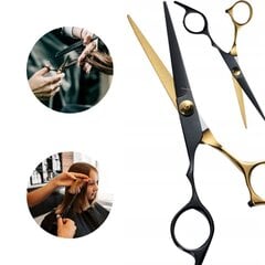 Парикмахерские ножницы цена и информация | Расчески, щетки для волос, ножницы | 220.lv