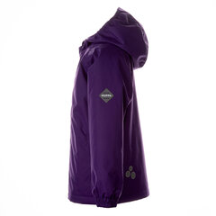 Huppa детская утепленная весенне-осенняя куртка ALEXIS, фиолетовый цвет цена и информация | Куртки, пальто для девочек | 220.lv