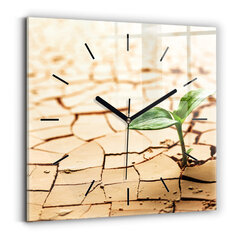 Sienas pulkstenis Augu Sausā Augsne, 30x30 cm цена и информация | Часы | 220.lv
