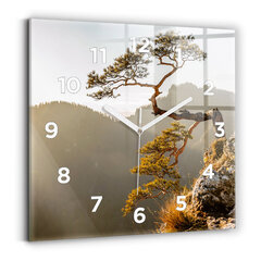 Sienas pulkstenis Koks Kalnos, 30x30 cm cena un informācija | Pulksteņi | 220.lv