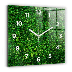 Sienas pulkstenis Lapas, 30x30 cm cena un informācija | Pulksteņi | 220.lv