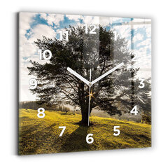 Sienas pulkstenis Koks Uz Kalna, 30x30 cm cena un informācija | Pulksteņi | 220.lv