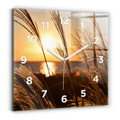 Sienas pulkstenis Kvieši Zelta Saulē, 30x30 cm цена и информация | Часы | 220.lv