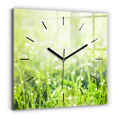 Sienas pulkstenis Zaļa Zāle, 30x30 cm цена и информация | Часы | 220.lv