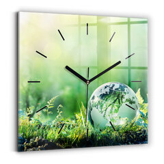Sienas pulkstenis Zemeslode, 30x30 cm cena un informācija | Pulksteņi | 220.lv