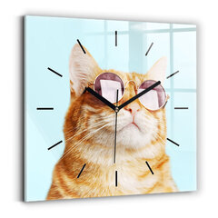 Sienas pulkstenis Smieklīgs Kaķis Ar Brillēm, 30x30 cm cena un informācija | Pulksteņi | 220.lv