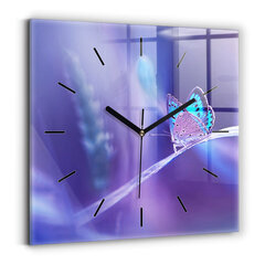Sienas pulkstenis Tauriņš Uz Zāles, 30x30 cm cena un informācija | Pulksteņi | 220.lv