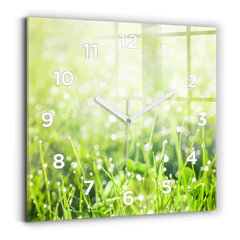 Sienas pulkstenis Zaļa Zāle, 30x30 cm cena un informācija | Pulksteņi | 220.lv